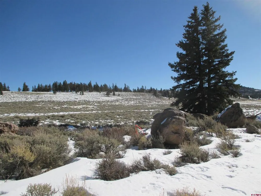 177 Blue Mesa Drive Powderhorn, CO 81224