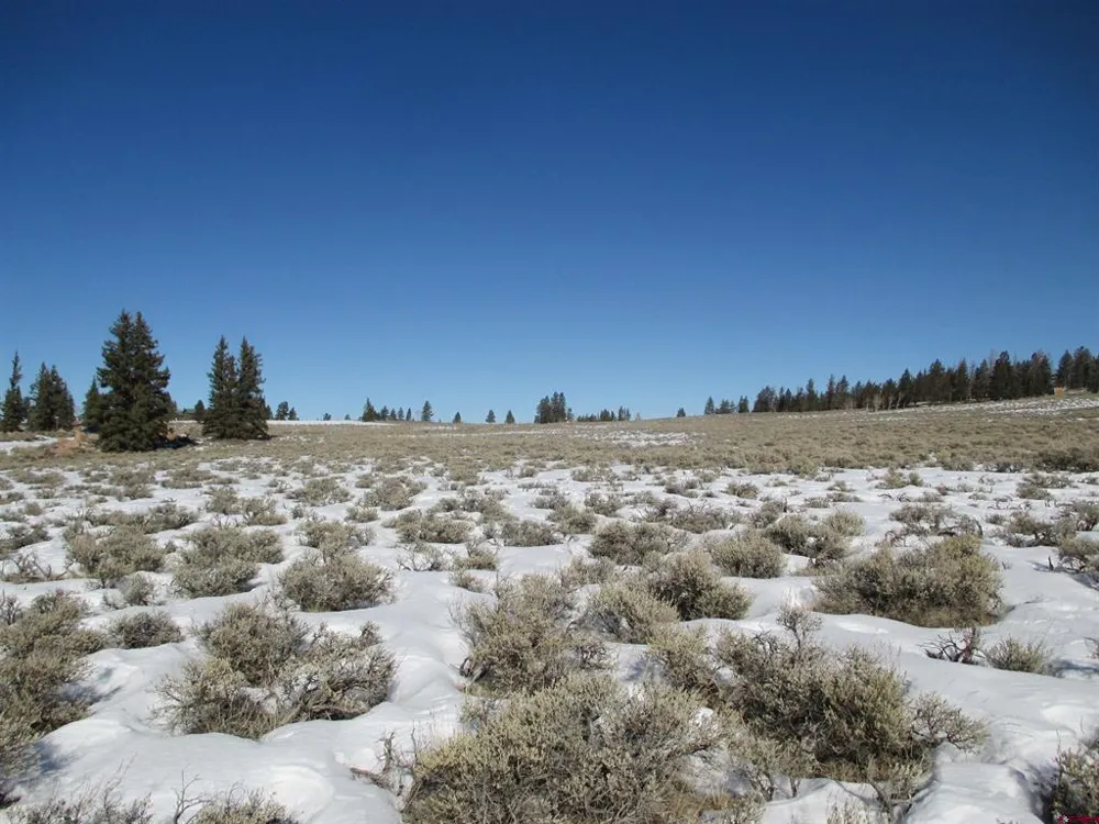 177 Blue Mesa Drive Powderhorn, CO 81224