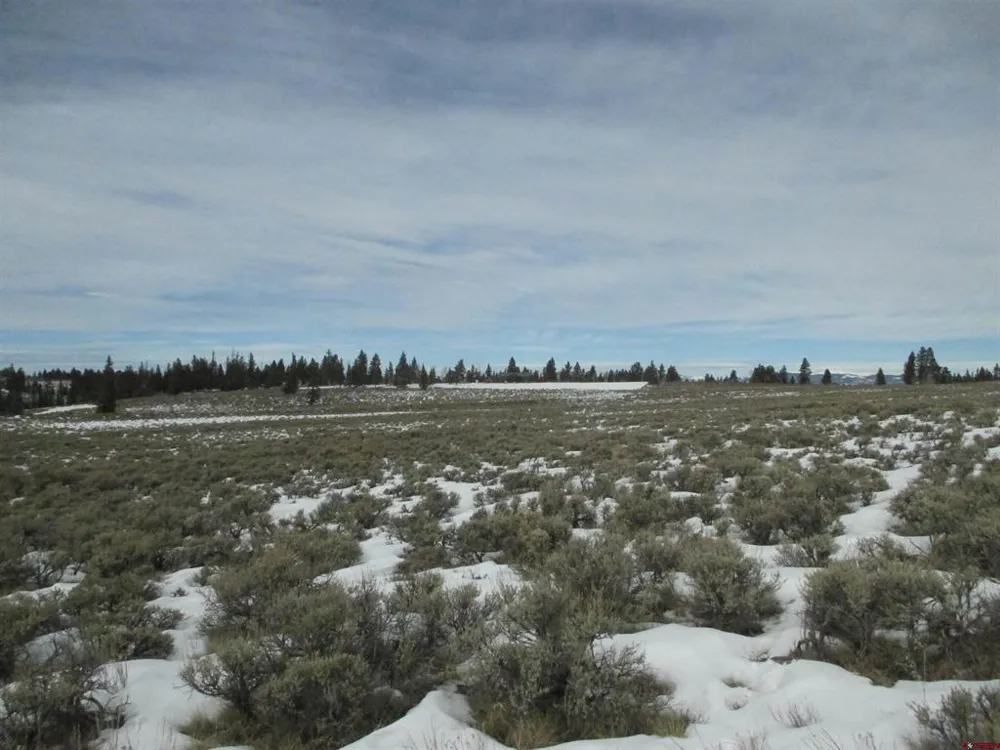 177 Blue Mesa Drive Powderhorn, CO 81224