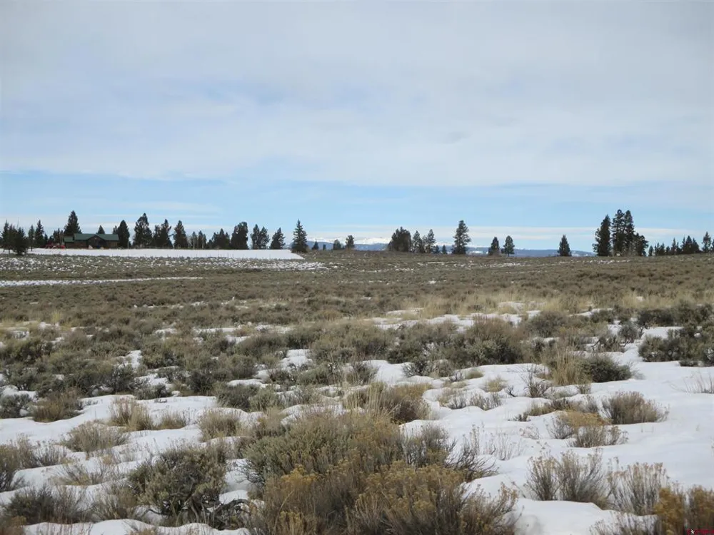 177 Blue Mesa Drive Powderhorn, CO 81224