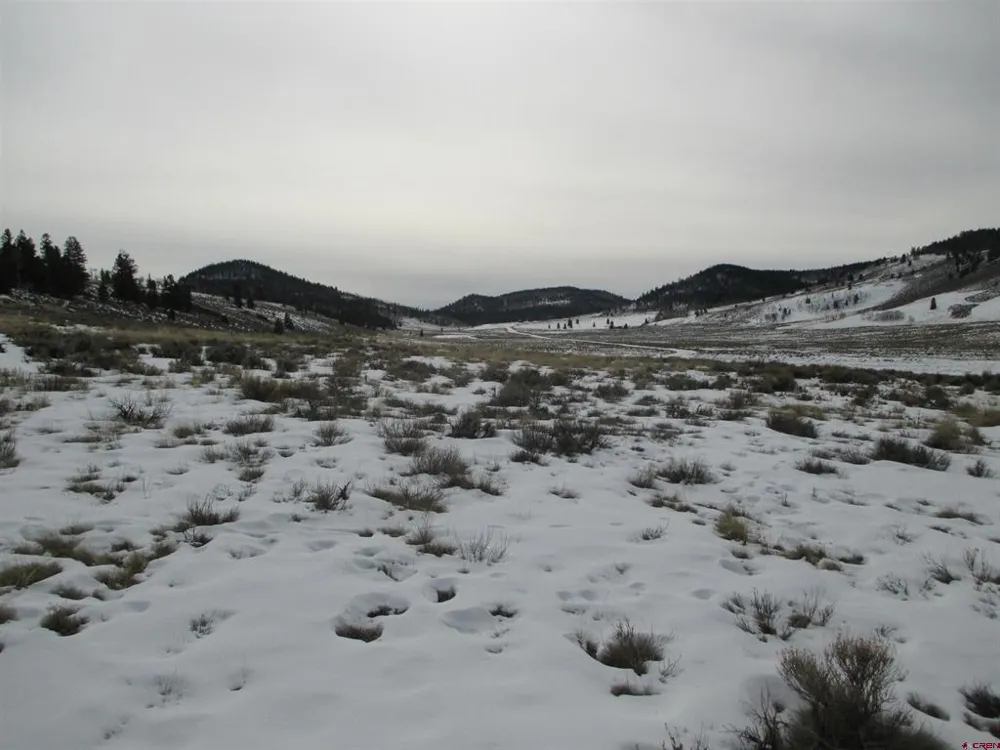 177 Blue Mesa Drive Powderhorn, CO 81224