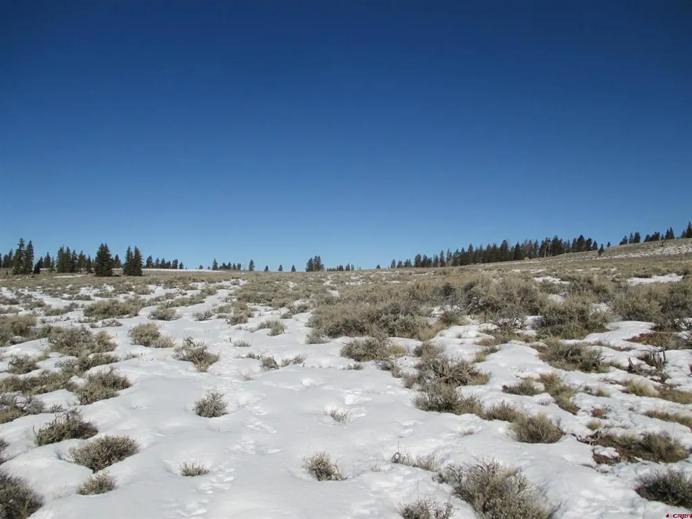 177 Blue Mesa Drive Powderhorn, CO 81224