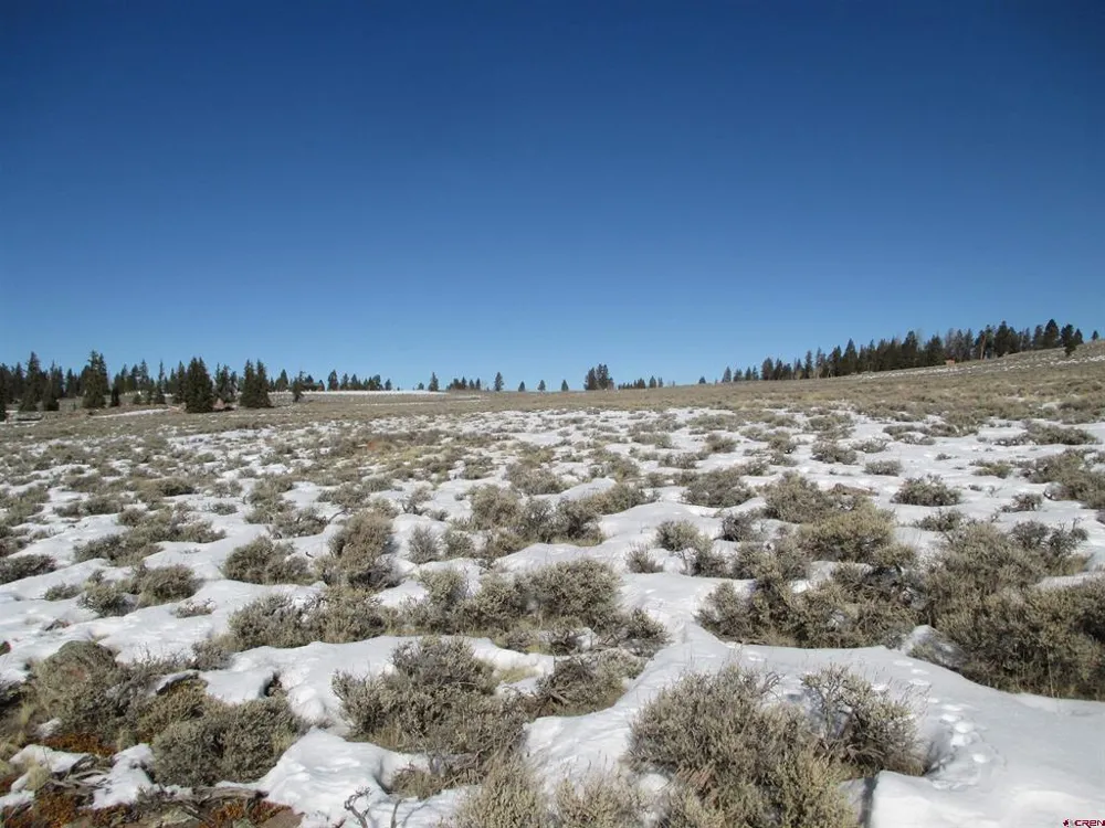 177 Blue Mesa Drive Powderhorn, CO 81224