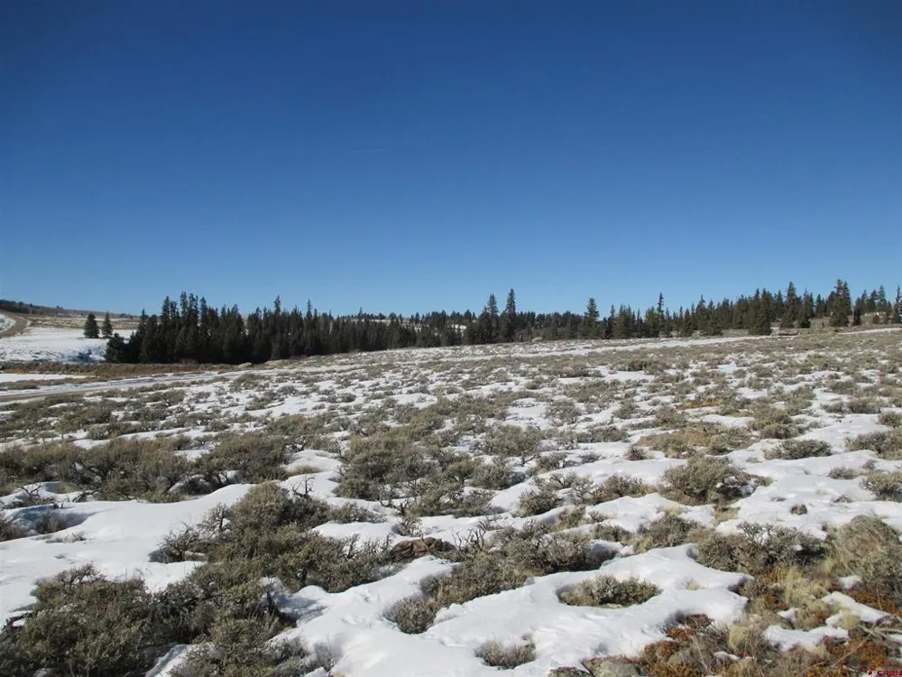 177 Blue Mesa Drive Powderhorn, CO 81224