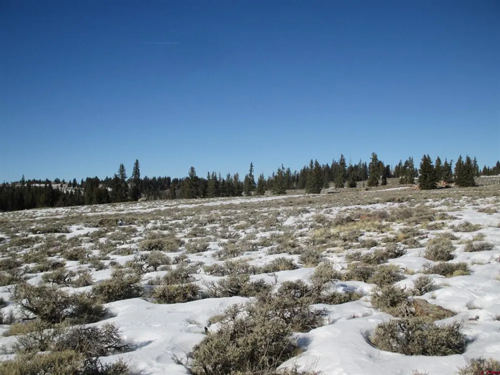 177 Blue Mesa Drive Powderhorn, CO 81224