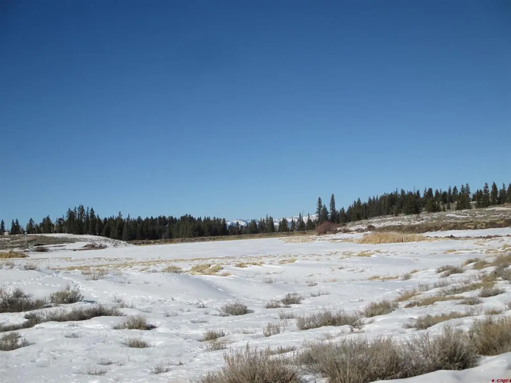 177 Blue Mesa Drive Powderhorn, CO 81224