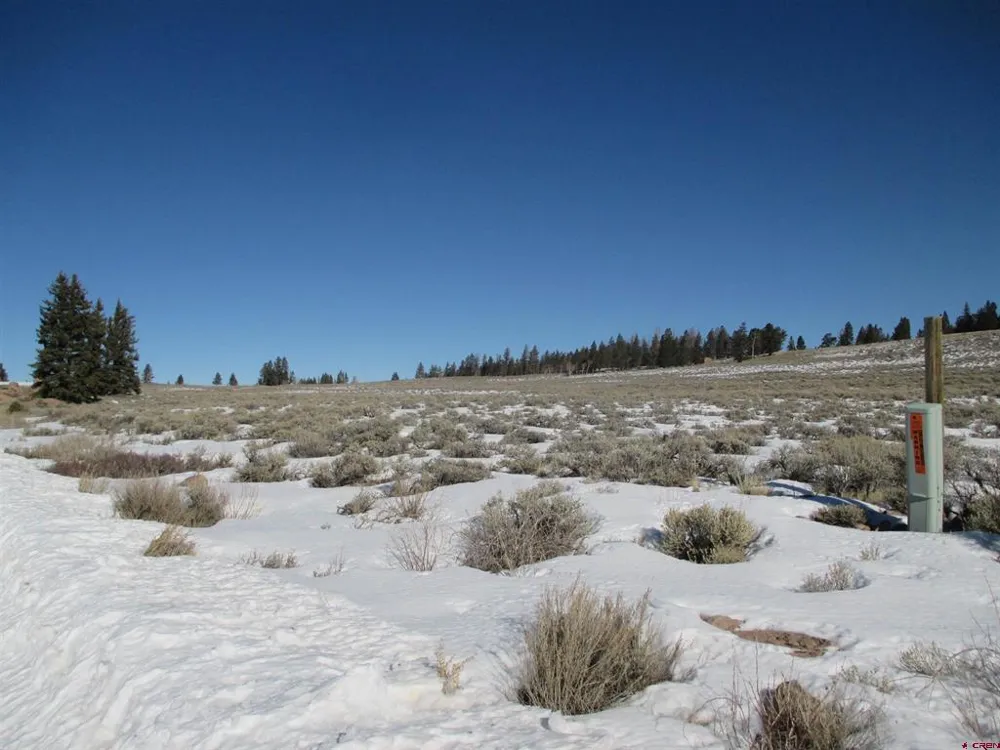 177 Blue Mesa Drive Powderhorn, CO 81224
