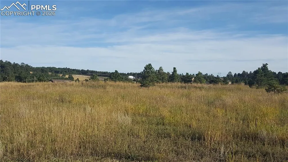 16935 Oldborough Heights Monument, CO 80132