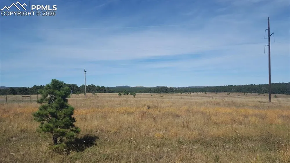 16935 Oldborough Heights Monument, CO 80132