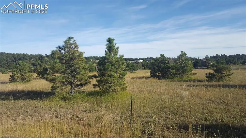 16935 Oldborough Heights Monument, CO 80132