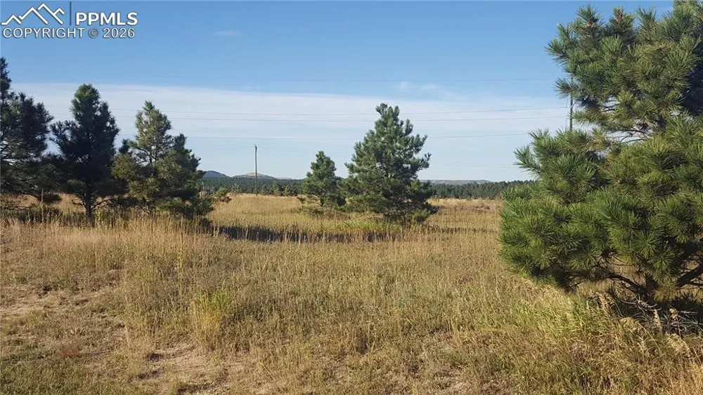 16935 Oldborough Heights Monument, CO 80132