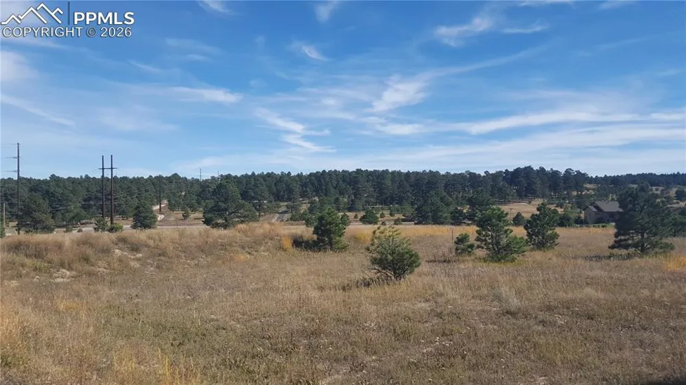16935 Oldborough Heights Monument, CO 80132