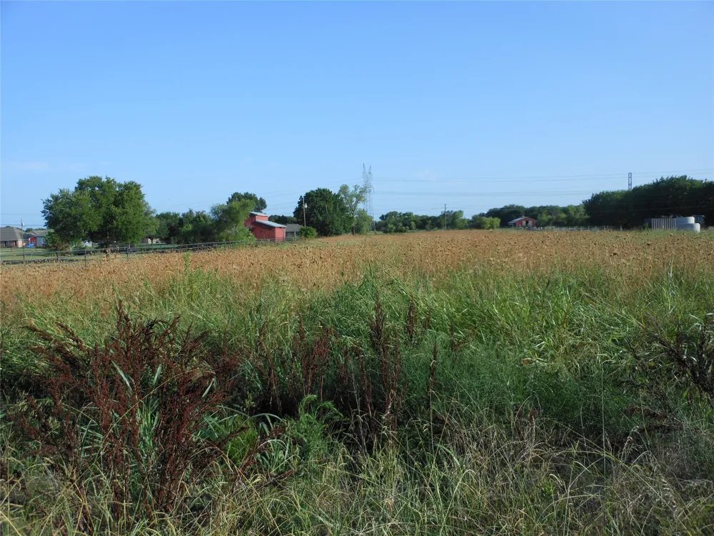 325 Donna Drive Wylie, TX 75098