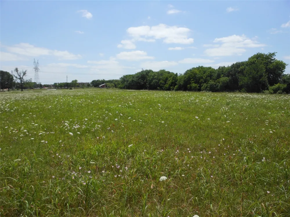 325 Donna Drive Wylie, TX 75098
