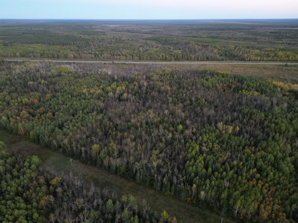 TBD US-71 Big Falls, MN 56627
