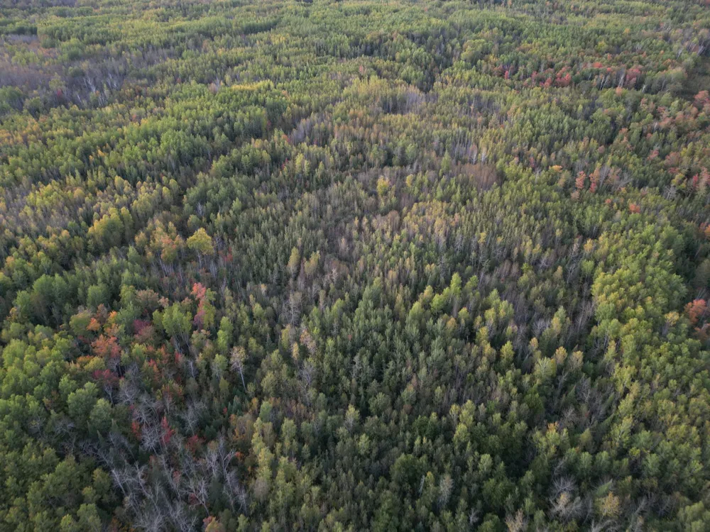 TBD US-71 Big Falls, MN 56627