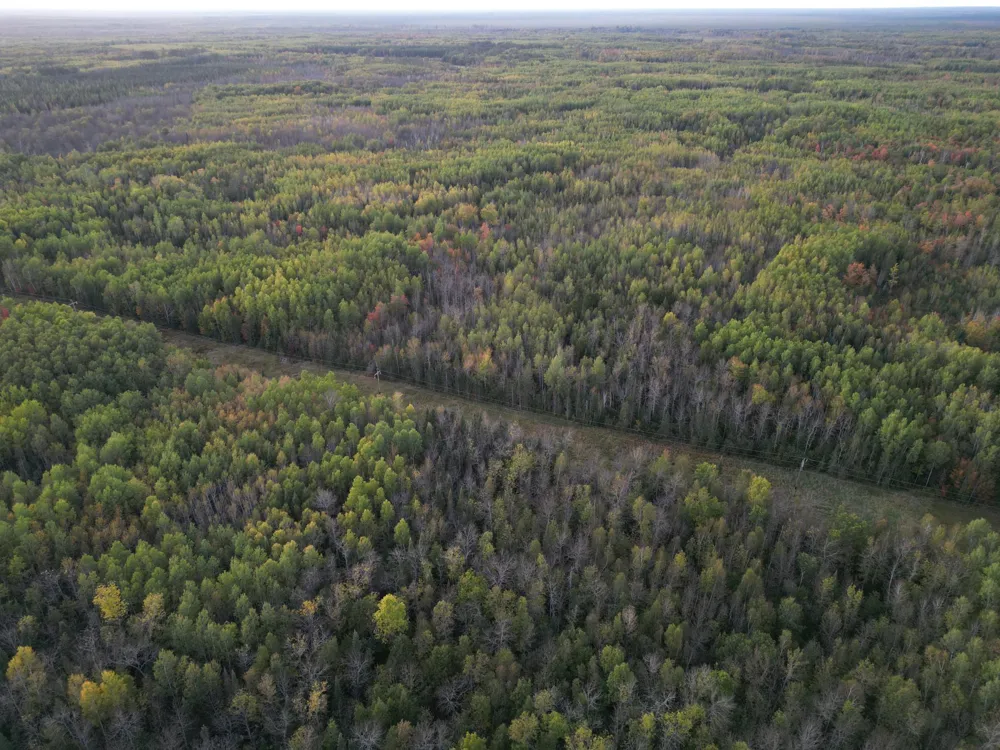 TBD US-71 Big Falls, MN 56627