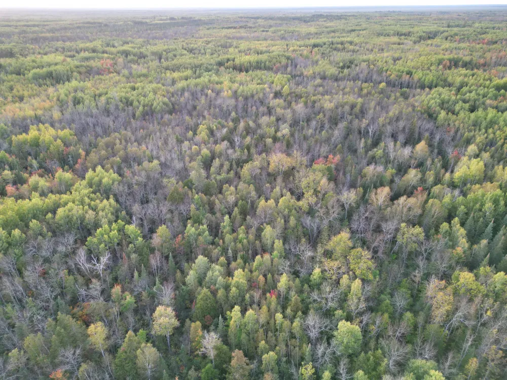 TBD US-71 Big Falls, MN 56627