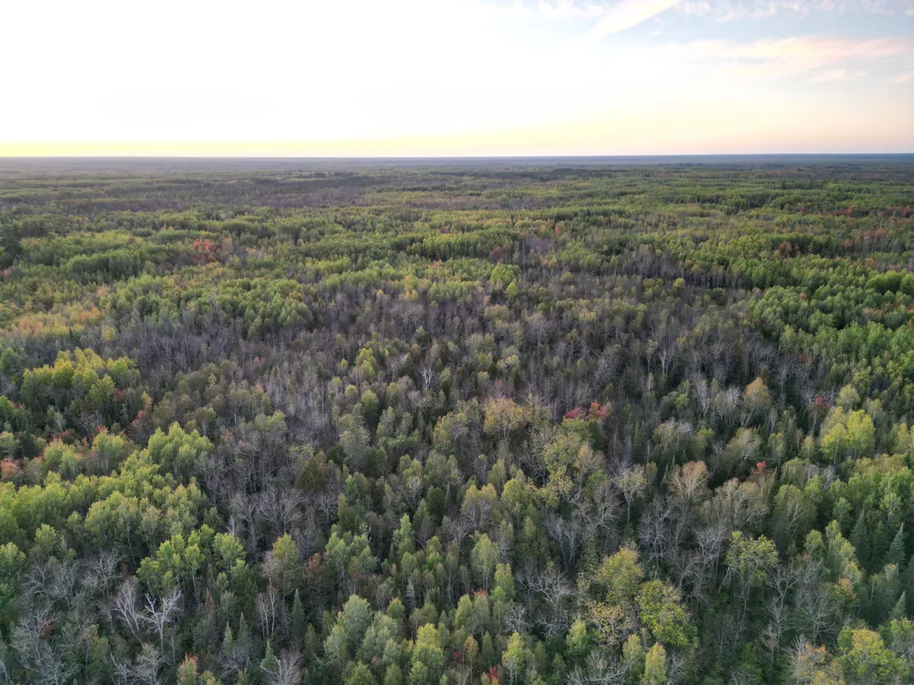 TBD US-71 Big Falls, MN 56627