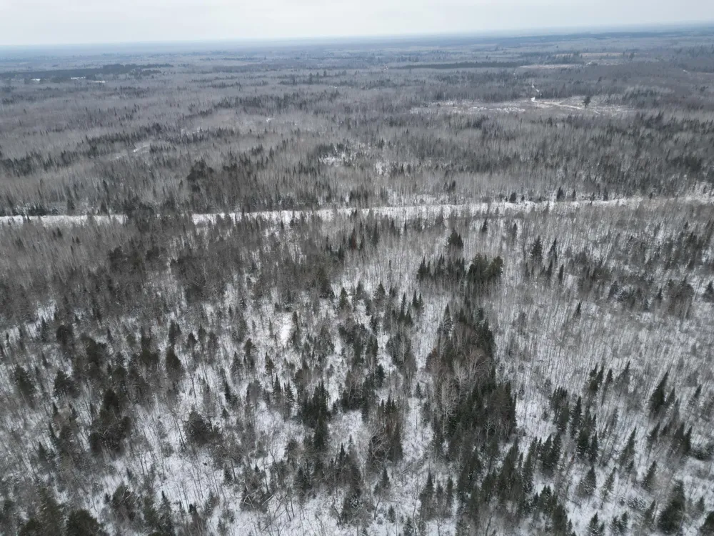 TBD US-71 Big Falls, MN 56627