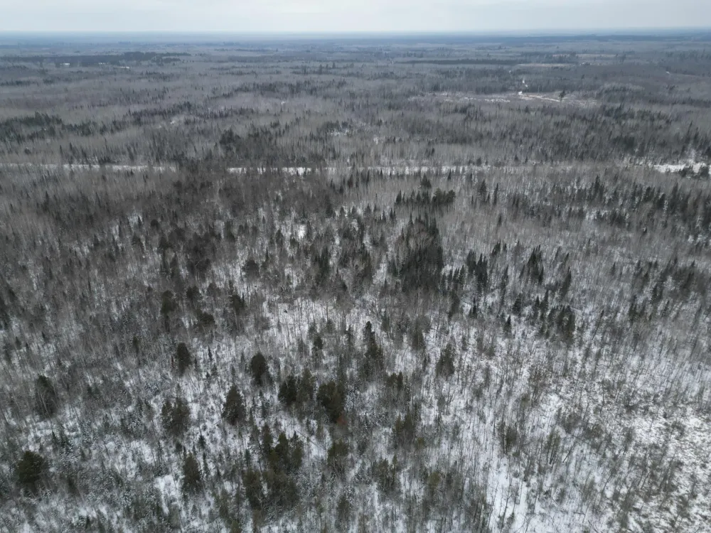TBD US-71 Big Falls, MN 56627