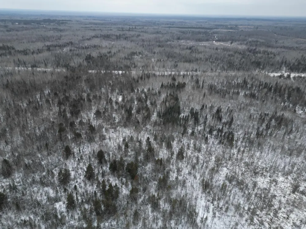 TBD US-71 Big Falls, MN 56627