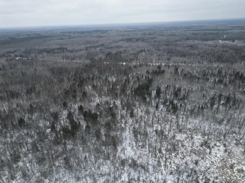 TBD US-71 Big Falls, MN 56627