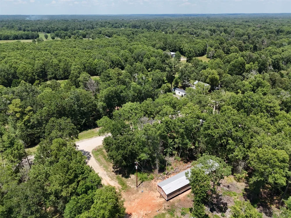 Ithica Livingston, TX 77351