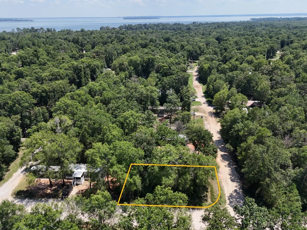 Ithica Livingston, TX 77351