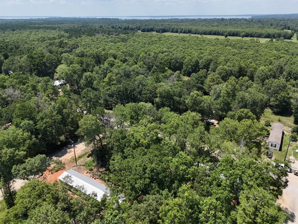 Ithica Livingston, TX 77351