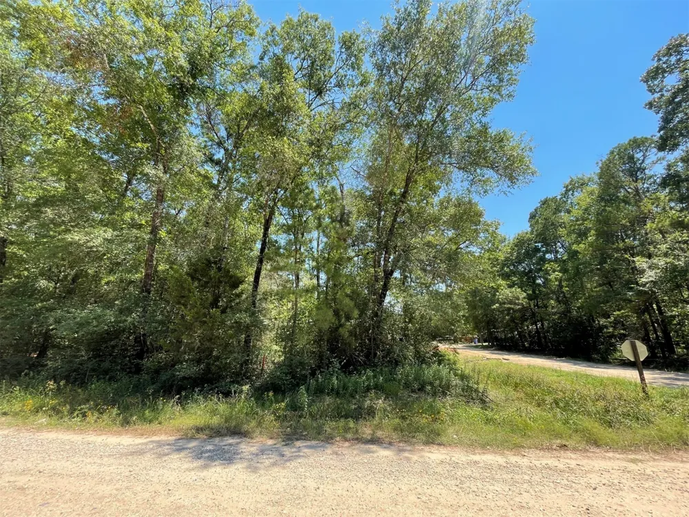 Ithica Livingston, TX 77351