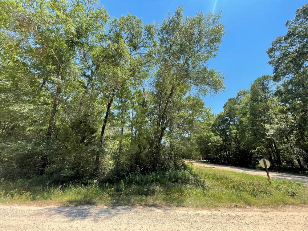 Ithica Livingston, TX 77351