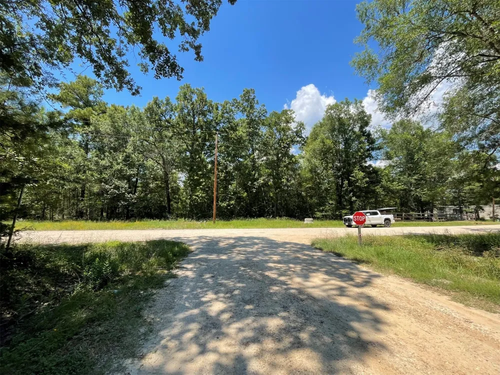Ithica Livingston, TX 77351
