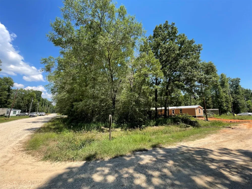 Ithica Livingston, TX 77351