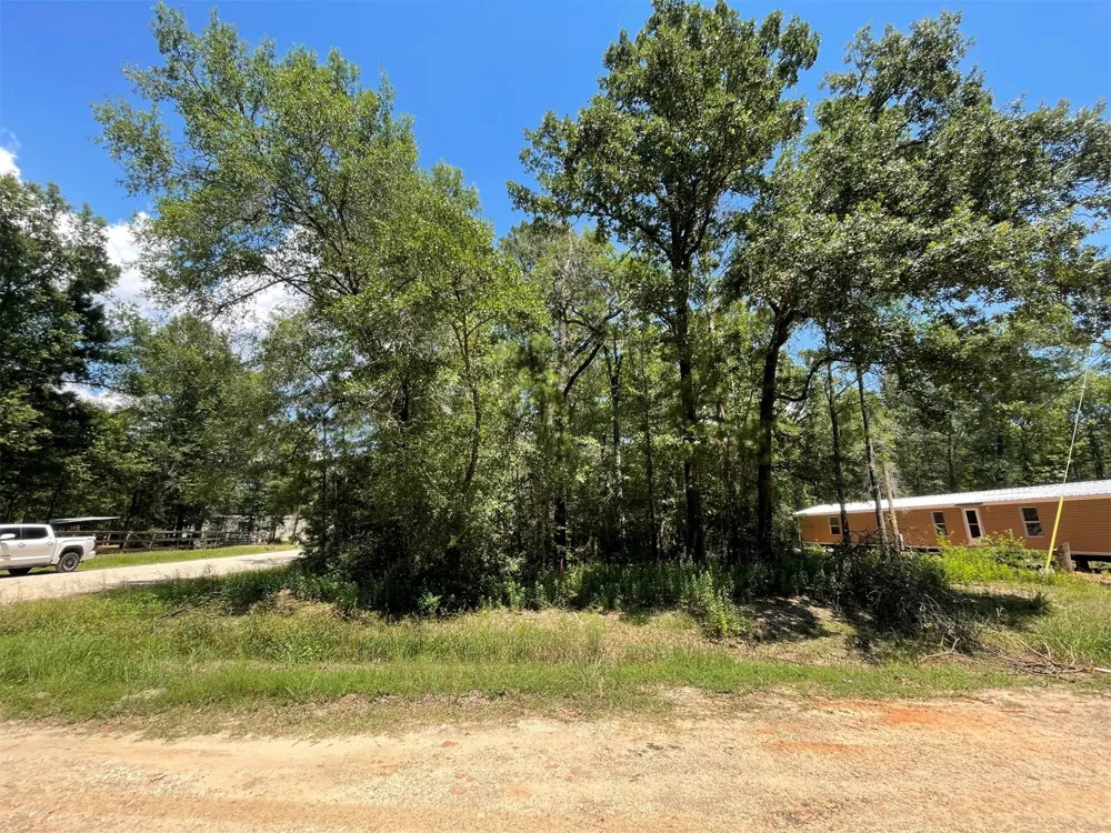 Ithica Livingston, TX 77351