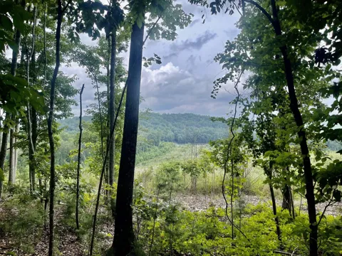 White Oak Road