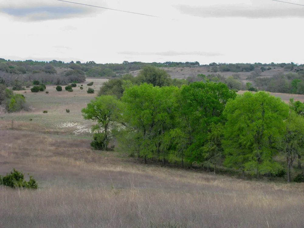 3485 County Road 530 Evant, TX 76525