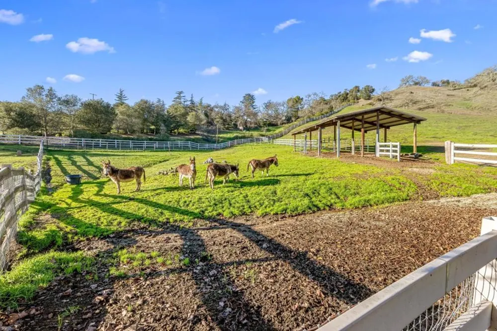 6915 Redwood Retreat Road Gilroy, CA 95020