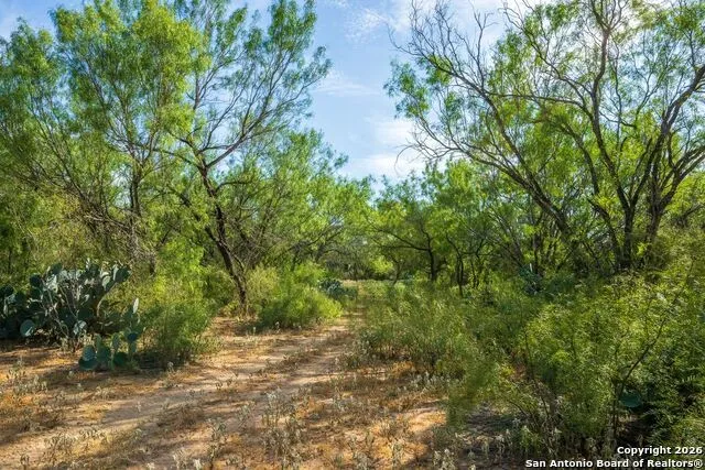 CR 732 Cr Yancey, TX 78886