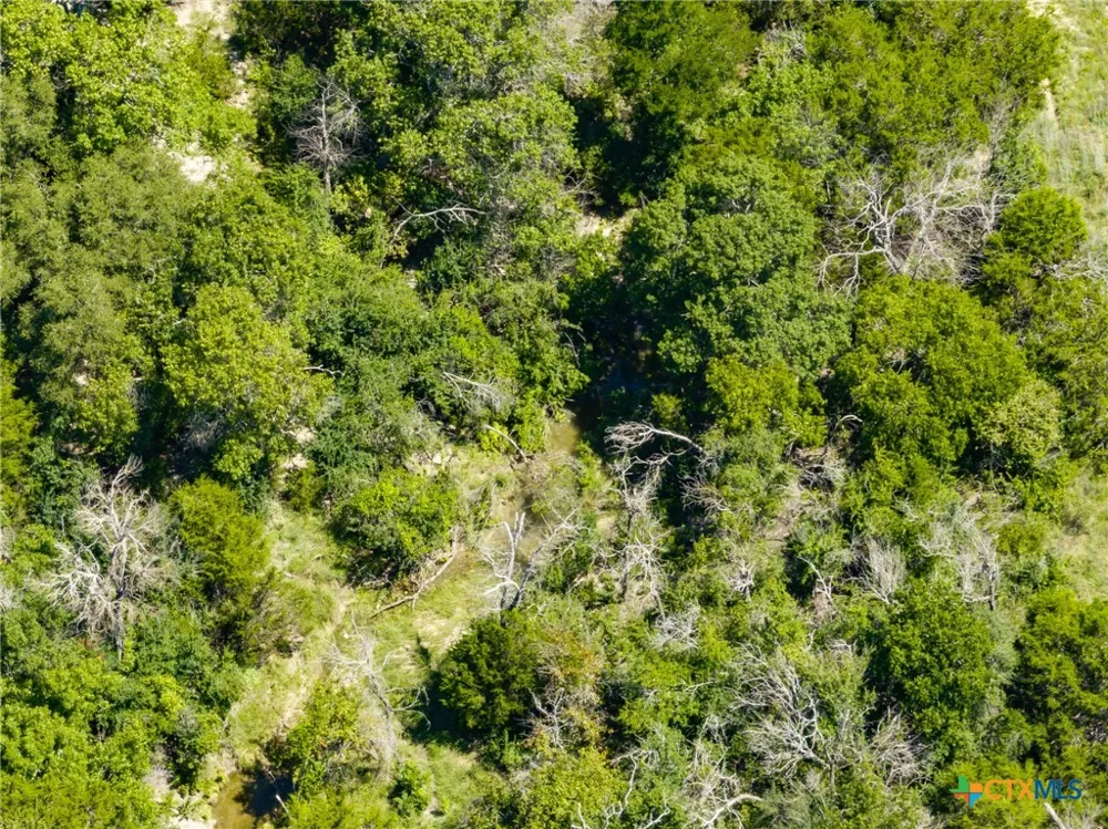 3485 County Road 530 Evant, TX 76525