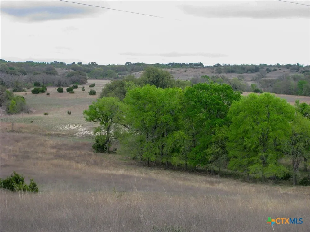 3485 County Road 530 Evant, TX 76525
