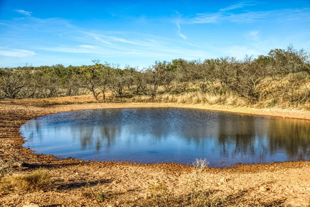 2969 County Road 422 Talpa, TX 76882