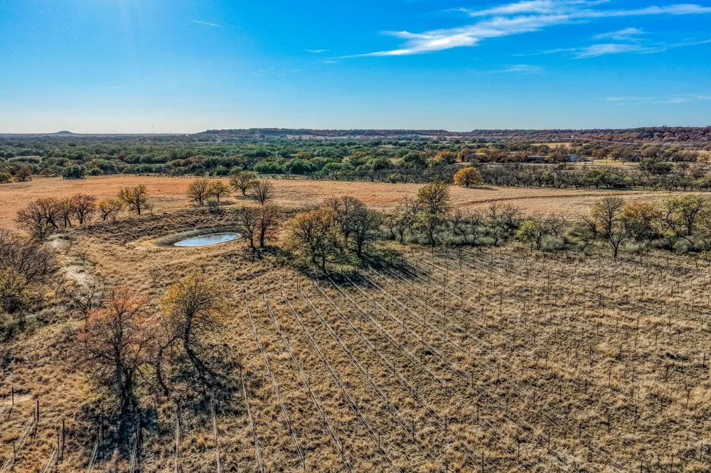 2969 County Road 422 Talpa, TX 76882