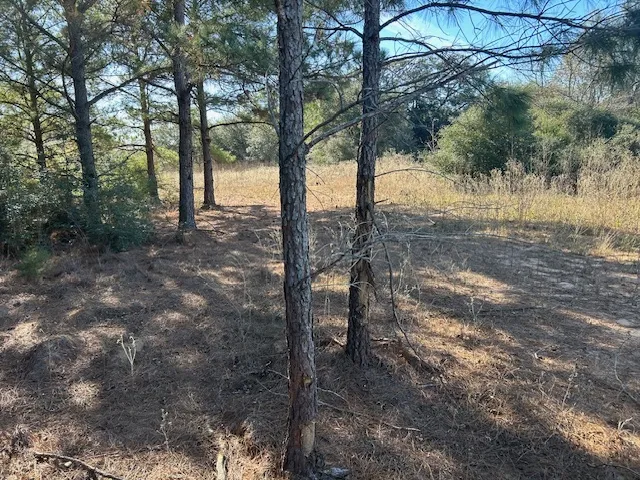 7179 FM 141 Dime Box, TX 77853