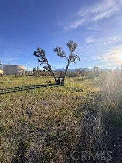 Madera Pinon Hills, CA 92372