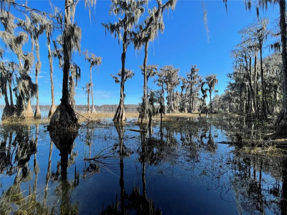 24510 NE STATE RD 26 Melrose, FL 32666