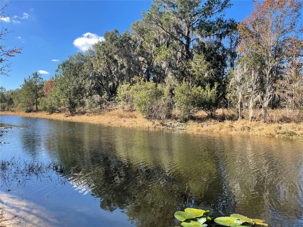 24510 NE STATE RD 26 Melrose, FL 32666