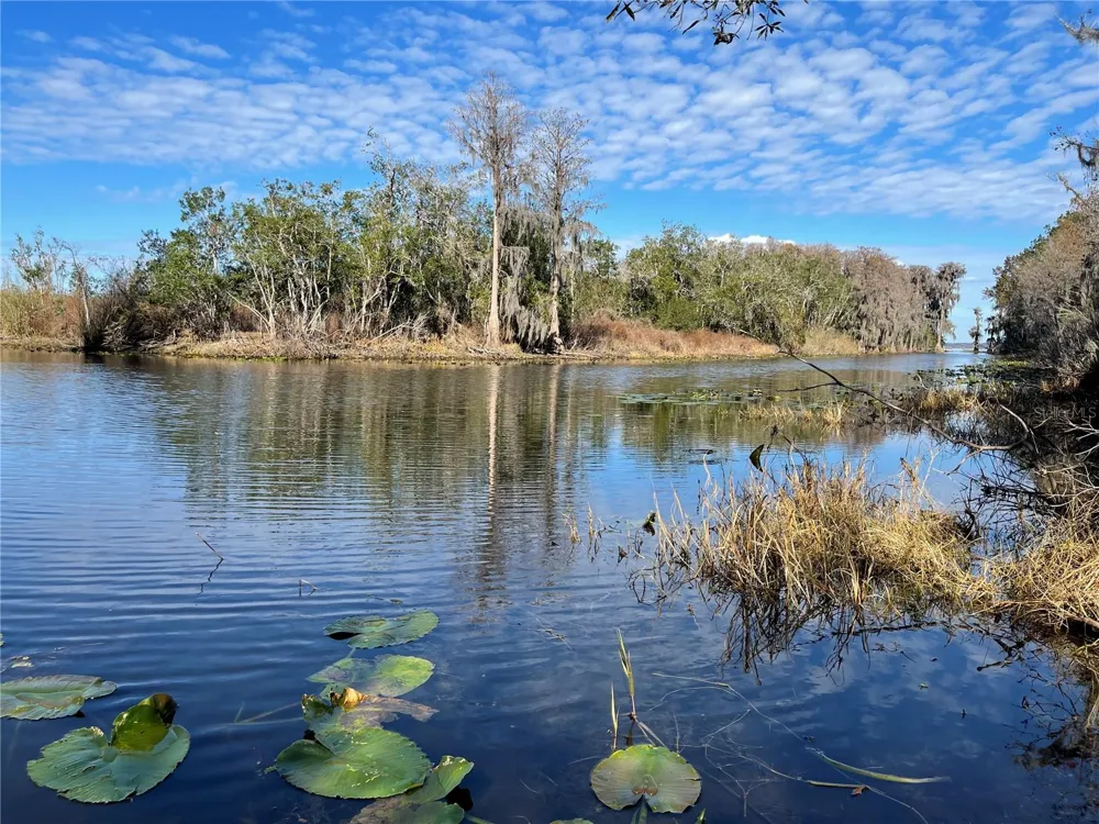 24510 NE STATE RD 26 Melrose, FL 32666