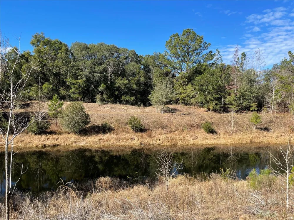 24510 NE STATE RD 26 Melrose, FL 32666