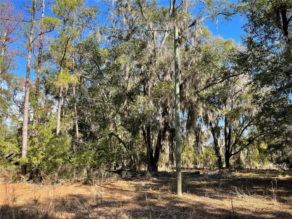 24510 NE STATE RD 26 Melrose, FL 32666